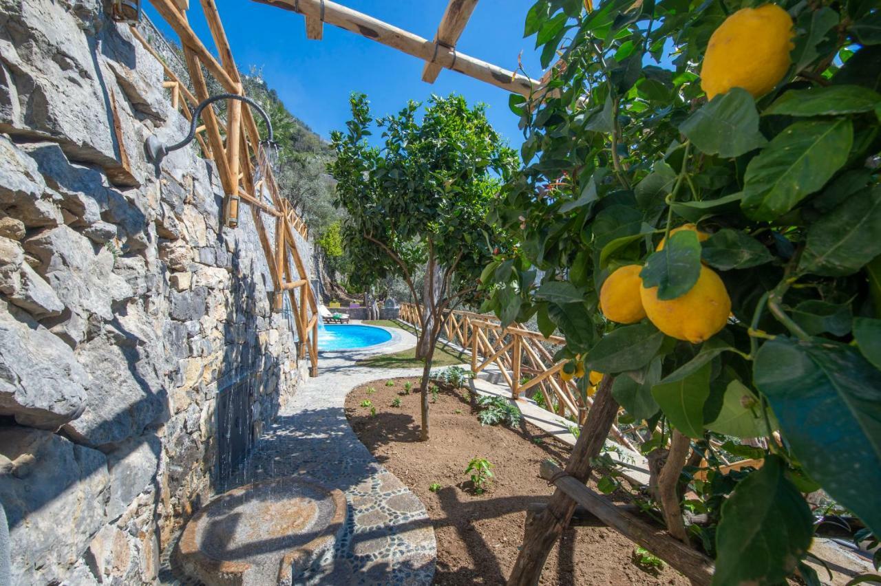 Le Contrade By Sosore Holiday Homes -Amalfi Coast フローレ エクステリア 写真